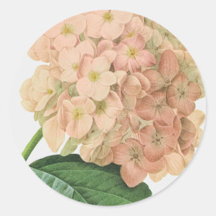 Vintage-Botanische Hortensien-Blumenhochzeit Runder Aufkleber