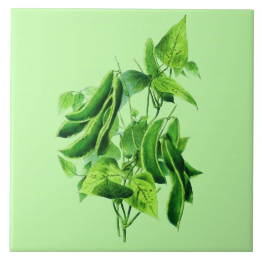 Vintage botanische Illustration, Bienenstock Fliese (Vorderseite)