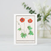 Vintage botanische Illustration Blume Postkarte (Stehend Vorderseite)