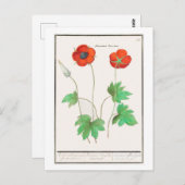 Vintage botanische Illustration Blume Postkarte (Vorne/Hinten)