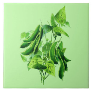 Vintage botanische Illustration, Bohnenrebe Fliese