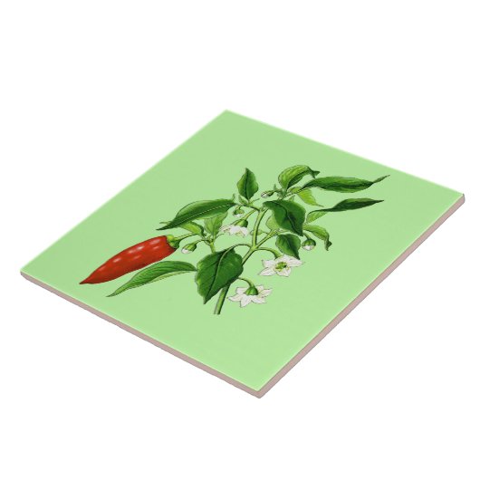 Vintage botanische Illustration, Chili Pepper Fliese (Seite)