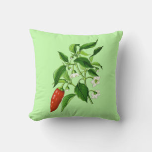 Vintage botanische Illustration, Chili-Schote Kissen