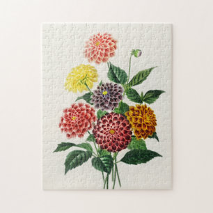 Vintage botanische Illustration Dahlien 250 Teile Puzzle