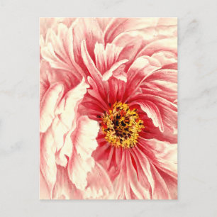 Vintage botanische Illustration der Pfingstrose Ankündigungspostkarte