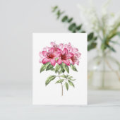 Vintage botanische Illustration der rosa Azalea Postkarte (Stehend Vorderseite)