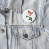 Vintage botanische Illustration der rosa Rose Button (Beispiel)