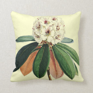 Vintage botanische Illustration des Rhododendrons Kissen