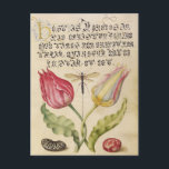 Vintage botanische Illustration Feiertagspostkarte<br><div class="desc">Vintage Beschreibung der Pflanze</div>