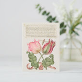 Vintage botanische Illustration Holiday Postkarte (Stehend Vorderseite)