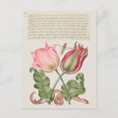 Vintage botanische Illustration Holiday Postkarte (Vorderseite)
