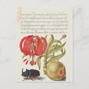 Vintage botanische Illustration Holiday Postkarte