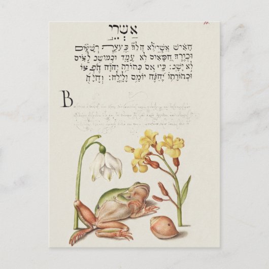 Vintage botanische Illustration Holiday Postkarte (Vorderseite)