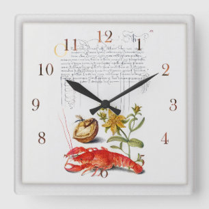 Vintage botanische Illustration Insekt und Walnuss Quadratische Wanduhr