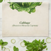 Vintage botanische Illustration, Kohl Geschirrtuch (Gefaltet)