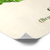 Vintage botanische Illustration, Kohl Poster (Ecke)