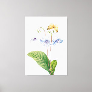 Vintage botanische Illustration Leinwanddruck