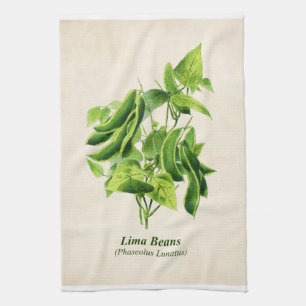 Vintage botanische Illustration, Limabohnenrebe Ki Geschirrtuch