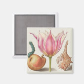 Vintage botanische Illustration Magnet (Vorderseite/Rückseite)