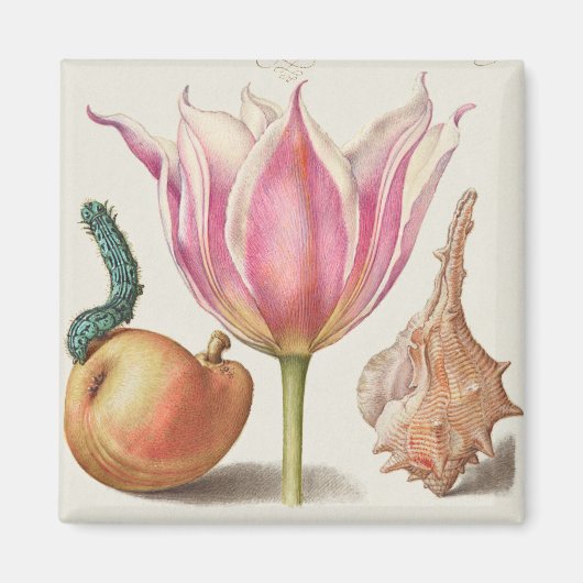 Vintage botanische Illustration Magnet (Vorne)