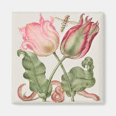 Vintage botanische Illustration Magnet (Vorne)