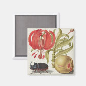 Vintage botanische Illustration Magnet (Vorderseite/Rückseite)