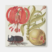 Vintage botanische Illustration Magnet (Vorne)