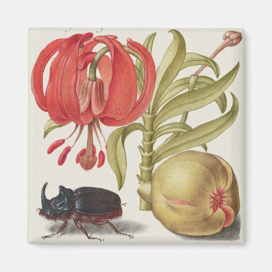 Vintage botanische Illustration Magnet (Vorne)