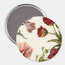Vintage botanische Illustration mit verschiedenen