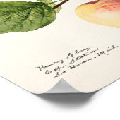 Vintage botanische Illustration Poster (Ecke)