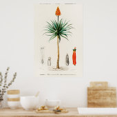 Vintage botanische Illustration Poster (Küche)