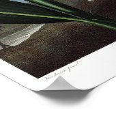 Vintage botanische Illustration Poster (Ecke)