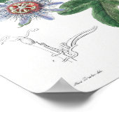 Vintage botanische Illustration Poster (Ecke)