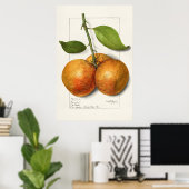 Vintage botanische Illustration Poster (Heimbüro)
