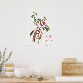 Vintage botanische Illustration Poster (Küche)