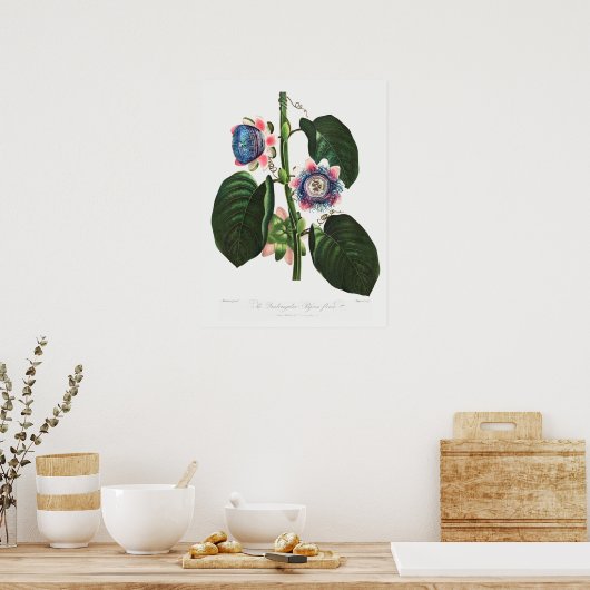 Vintage botanische Illustration Poster (Küche)