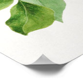 Vintage botanische Illustration Poster (Ecke)