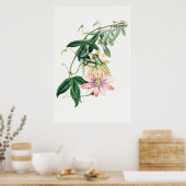 Vintage botanische Illustration Poster (Küche)