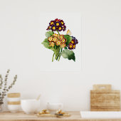 Vintage botanische Illustration Poster (Küche)