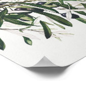 Vintage botanische Illustration Poster (Ecke)