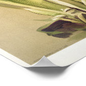 Vintage botanische Illustration Poster (Ecke)