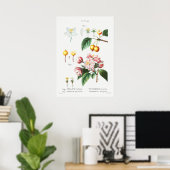 Vintage botanische Illustration Poster (Heimbüro)