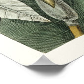 Vintage botanische Illustration Poster (Ecke)