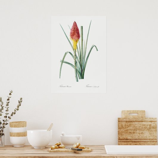 Vintage botanische Illustration Poster (Küche)