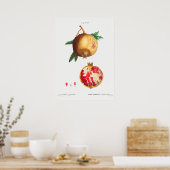 Vintage botanische Illustration Poster (Küche)