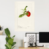 Vintage botanische Illustration Poster (Heimbüro)