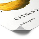 Vintage botanische Illustration Poster (Ecke)