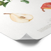 Vintage botanische Illustration Poster (Ecke)