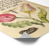 Vintage botanische Illustration Poster (Ecke)