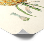 Vintage botanische Illustration Poster (Ecke)